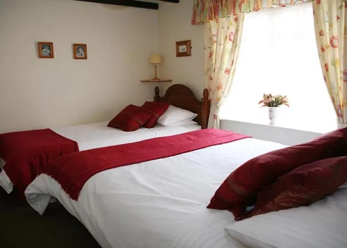 Awd Tuts 17th Century By The Harbour * ويتبي